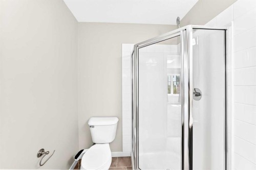 220 Red Embers Way Ne, Calgary, AB - Indoor Photo Showing Bathroom