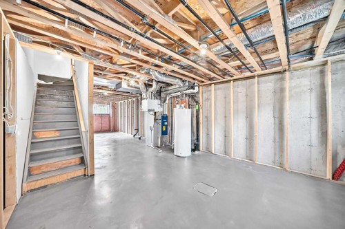 220 Red Embers Way Ne, Calgary, AB - Indoor Photo Showing Basement