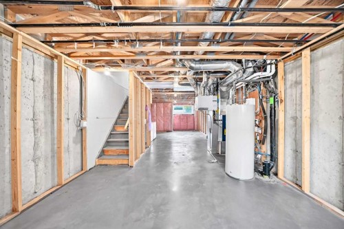220 Red Embers Way Ne, Calgary, AB - Indoor Photo Showing Basement