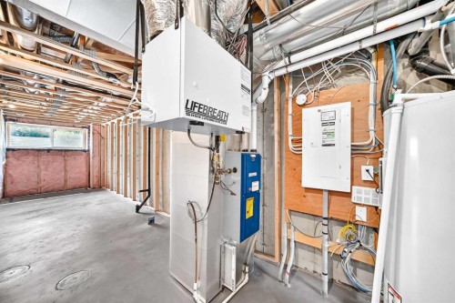 220 Red Embers Way Ne, Calgary, AB - Indoor Photo Showing Basement