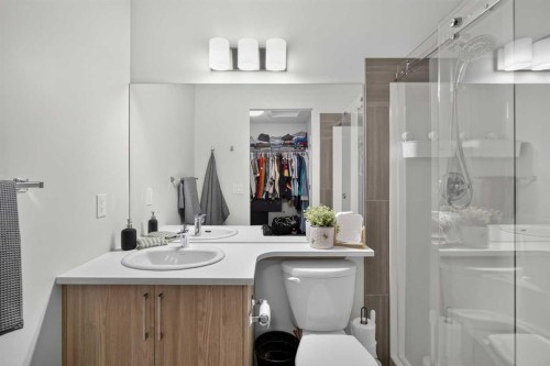 573 Canals Crossing Sw, Airdrie, AB - Indoor Photo Showing Bathroom