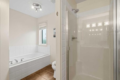 126 Chapman Close Se, Calgary, AB - Indoor Photo Showing Bathroom