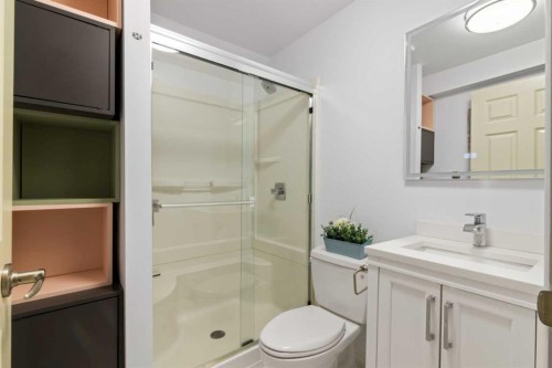 126 Chapman Close Se, Calgary, AB - Indoor Photo Showing Bathroom