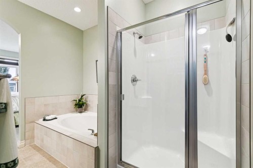 416 High Park Place Nw, High River, AB - Indoor Photo Showing Bathroom
