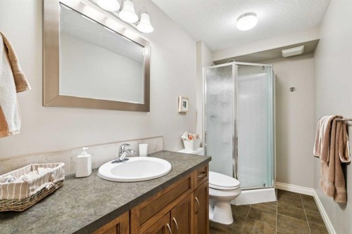 416 High Park Place Nw, High River, AB - Indoor Photo Showing Bathroom