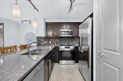 3111-310 Mckenzie Towne Gate Se, Calgary, AB - Indoor Photo Showing Kitchen With Double Sink With Upgraded Kitchen