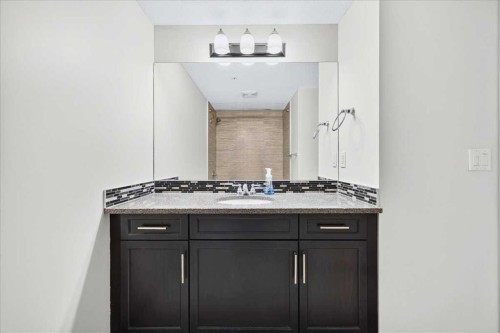 3111-310 Mckenzie Towne Gate Se, Calgary, AB - Indoor Photo Showing Bathroom