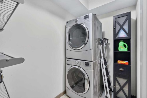 3111-310 Mckenzie Towne Gate Se, Calgary, AB - Indoor Photo Showing Laundry Room