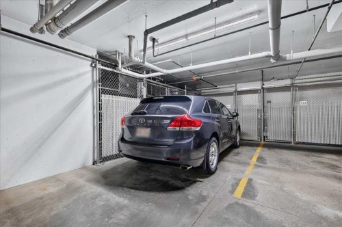 3111-310 Mckenzie Towne Gate Se, Calgary, AB - Indoor Photo Showing Garage