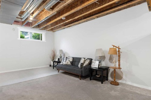 1021 Mahogany Boulevard Se, Calgary, AB - Indoor Photo Showing Basement