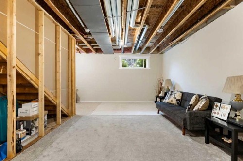 1021 Mahogany Boulevard Se, Calgary, AB - Indoor Photo Showing Basement