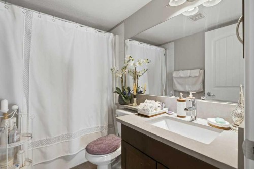 3301-10 Country Village Park Ne, Calgary, AB - Indoor Photo Showing Bathroom