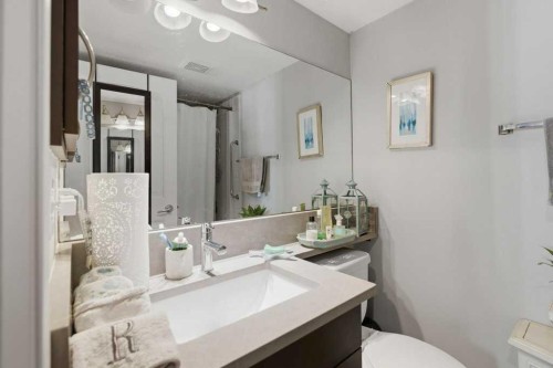 3301-10 Country Village Park Ne, Calgary, AB - Indoor Photo Showing Bathroom