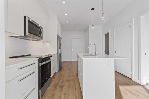 2418-395 Skyview Parkway Ne, Calgary, AB - Indoor Photo Showing Kitchen With Upgraded Kitchen