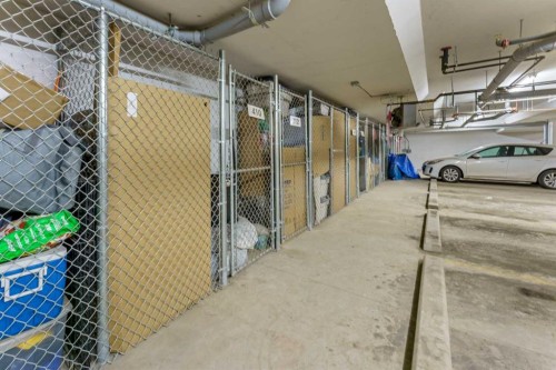 410-35 Walgrove Walk Se, Calgary, AB - Indoor Photo Showing Garage