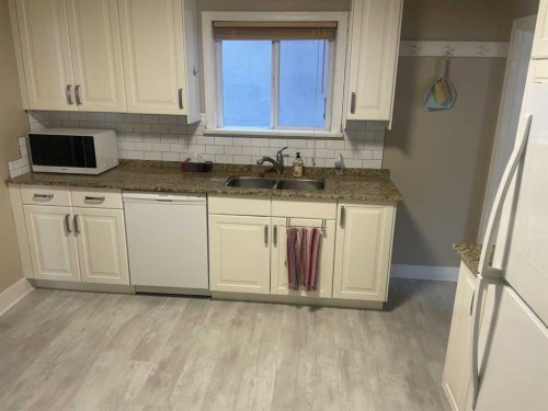 429 10 Street Ne, Calgary, AB - Indoor Photo Showing Kitchen With Double Sink
