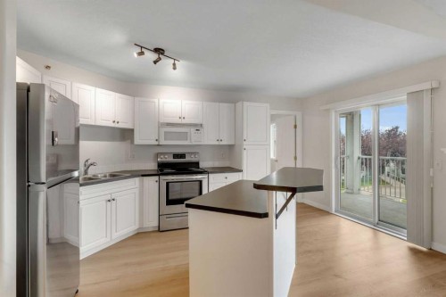 307-1307 Valleyview Park Se, Calgary, AB - Indoor Photo Showing Kitchen With Stainless Steel Kitchen With Double Sink