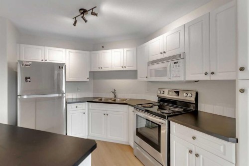 307-1307 Valleyview Park Se, Calgary, AB - Indoor Photo Showing Kitchen With Stainless Steel Kitchen With Double Sink