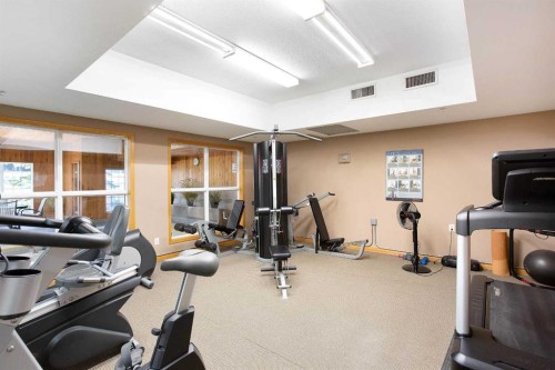 239-8535 Bonaventure Drive Se, Calgary, AB - Indoor Photo Showing Gym Room