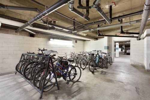 239-8535 Bonaventure Drive Se, Calgary, AB - Indoor Photo Showing Garage