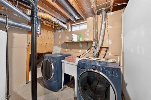 1837 Meadowbrook Drive Se, Airdrie, AB - Indoor Photo Showing Laundry Room