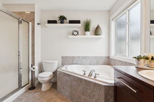 97 Tanner Close Se, Airdrie, AB - Indoor Photo Showing Bathroom