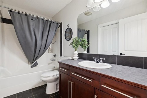 97 Tanner Close Se, Airdrie, AB - Indoor Photo Showing Bathroom