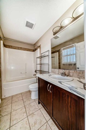 52 Taralake Street Ne, Calgary, AB - Indoor Photo Showing Bathroom