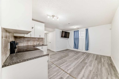52 Taralake Street Ne, Calgary, AB - Indoor Photo Showing Other Room