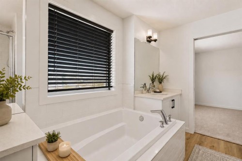 314 Walcrest Way Se, Calgary, AB - Indoor Photo Showing Bathroom