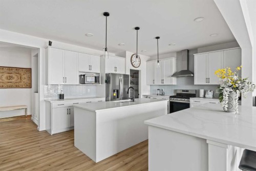 314 Walcrest Way Se, Calgary, AB - Indoor Photo Showing Kitchen With Upgraded Kitchen