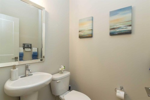 542 Rivercrest View, Cochrane, AB - Indoor Photo Showing Bathroom