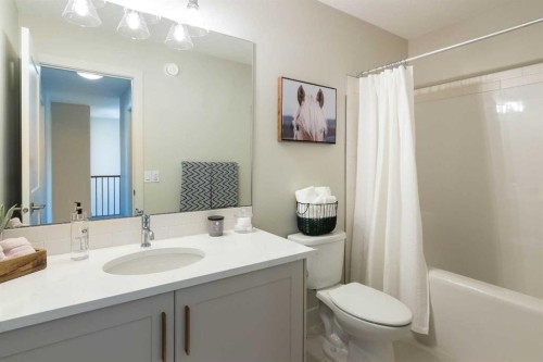 542 Rivercrest View, Cochrane, AB - Indoor Photo Showing Bathroom