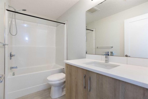 206-71 Shawnee Common Sw, Calgary, AB - Indoor Photo Showing Bathroom
