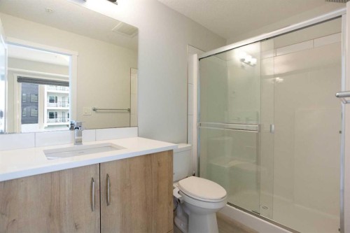 206-71 Shawnee Common Sw, Calgary, AB - Indoor Photo Showing Bathroom