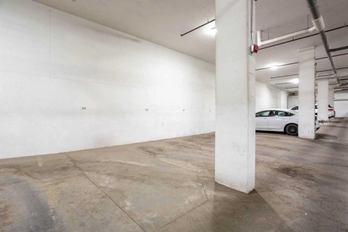 206-71 Shawnee Common Sw, Calgary, AB - Indoor Photo Showing Garage