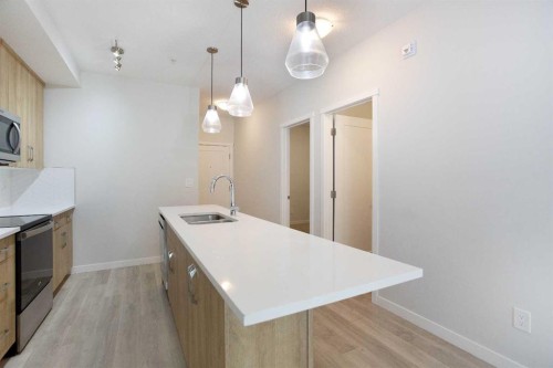 206-71 Shawnee Common Sw, Calgary, AB - Indoor Photo Showing Kitchen With Double Sink