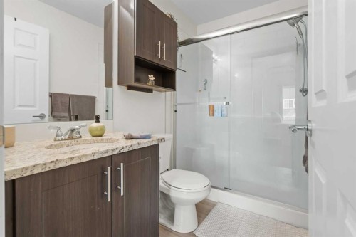 4418-99 Copperstone Park Se, Calgary, AB - Indoor Photo Showing Bathroom