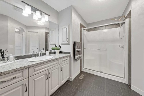 268 Rainbow Falls Way, Chestermere, AB - Indoor Photo Showing Bathroom