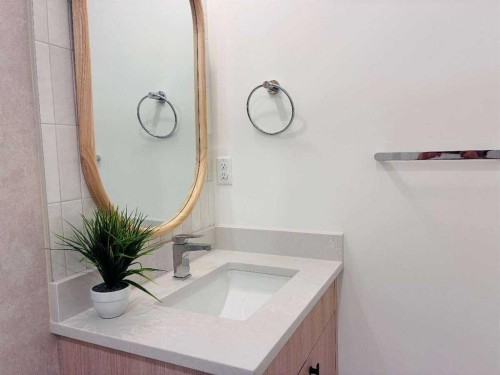 103-4270 Norford Avenue Nw, Calgary, AB - Indoor Photo Showing Bathroom