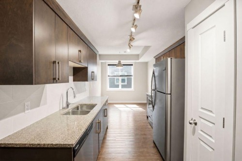 218 Cranford Se, Calgary, AB - Indoor Photo Showing Kitchen With Stainless Steel Kitchen With Double Sink With Upgraded Kitchen