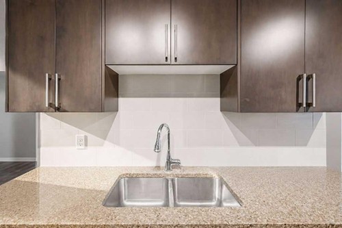 218 Cranford Se, Calgary, AB - Indoor Photo Showing Kitchen With Double Sink With Upgraded Kitchen