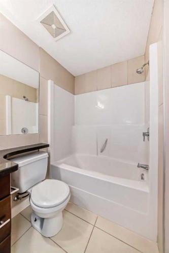 206-488 7 Avenue Ne, Calgary, AB - Indoor Photo Showing Bathroom