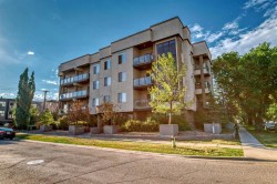 206-488 7 Avenue NE Calgary, AB T2E 0N2