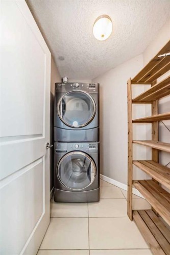 206-488 7 Avenue Ne, Calgary, AB - Indoor Photo Showing Laundry Room