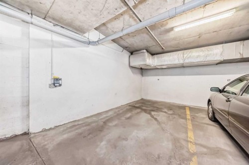 206-488 7 Avenue Ne, Calgary, AB - Indoor Photo Showing Garage