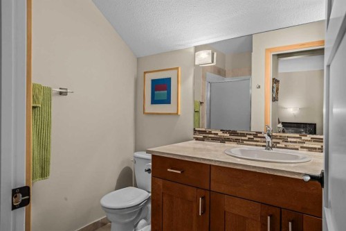 13-242 Benchlands Terrace, Canmore, AB - Indoor Photo Showing Bathroom