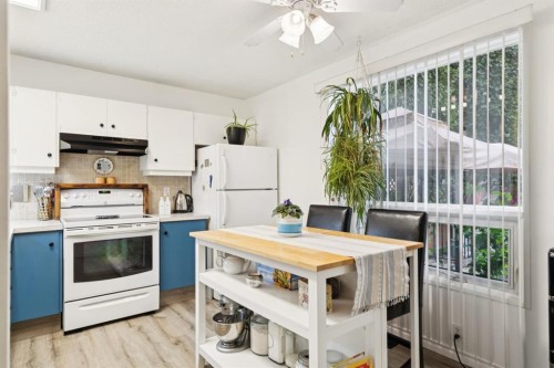 283 Abinger Crescent Ne, Calgary, AB - Indoor Photo Showing Kitchen