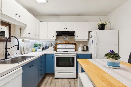 283 Abinger Crescent Ne, Calgary, AB - Indoor Photo Showing Kitchen With Double Sink