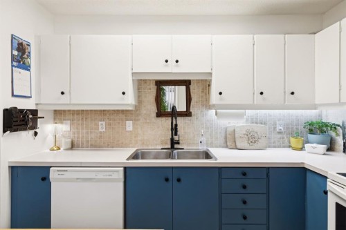 283 Abinger Crescent Ne, Calgary, AB - Indoor Photo Showing Kitchen With Double Sink